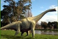 Contoh Report Text Tentang Dinosaurus Beserta Artinya