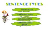 Jenis Kalimat Berdasarkan Struktur Gramatikal Dan Contohnya Lengkap