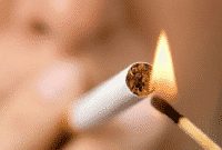 Contoh Report Text Tentang Bahaya Rokok Dalam Bahasa Inggris Beserta Artinya
