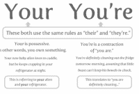Perbedaan Dan Contoh Lengkap “You’re vs Your” Dalam Bahasa Inggris