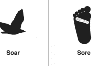 Perbedaan “Sore vs Soar” Dalam Bahasa Inggris Dan Contohnya