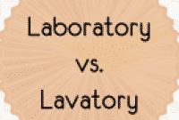 Perbedaan “Lavatory vs Laboratory” Dalam Bahasa Inggris Dan Contohnya